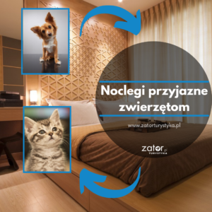 Noclegi przyjazne zwierzętom