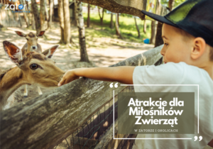 Atrakcje dla Milosnikow Zwierza w Zatorze i okolicach